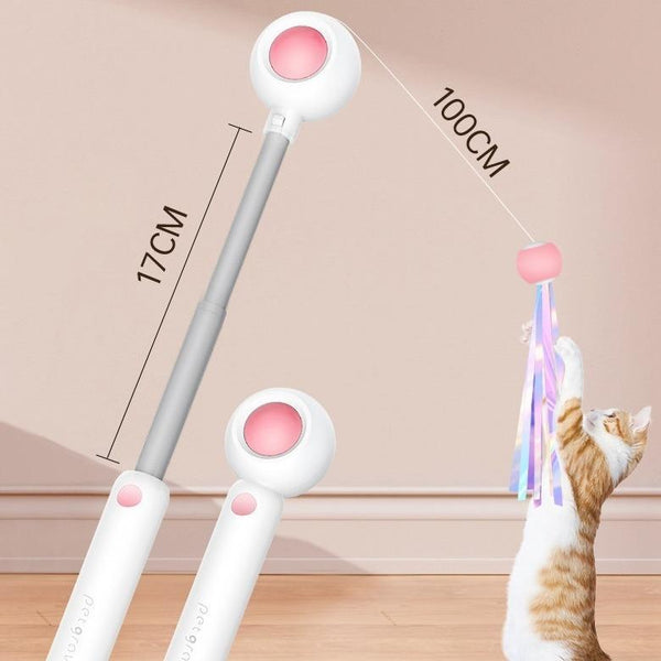 Retractable Cat Play Wand