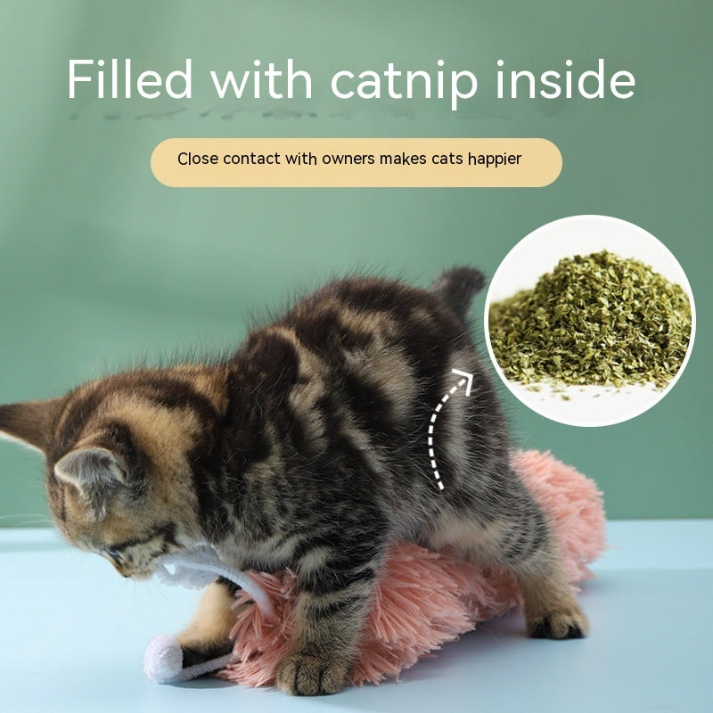 Caterpillar Cat Fun Toy