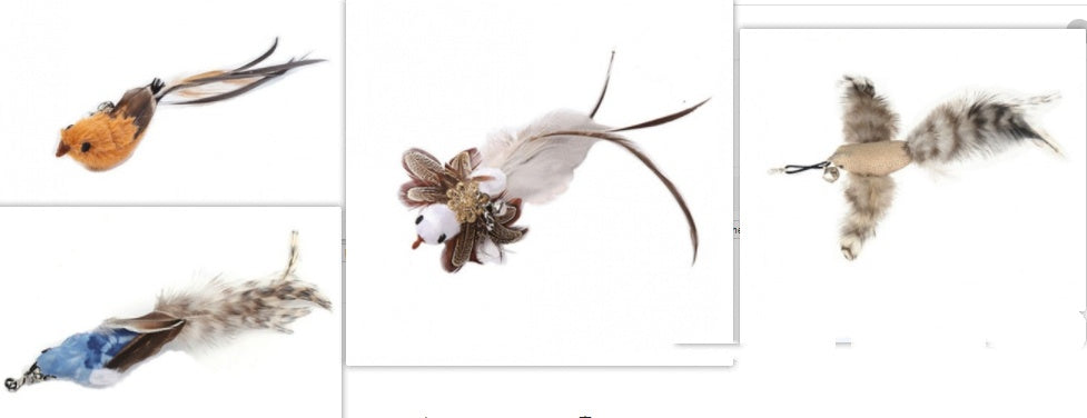 Feather Fun Cat Teaser Toy