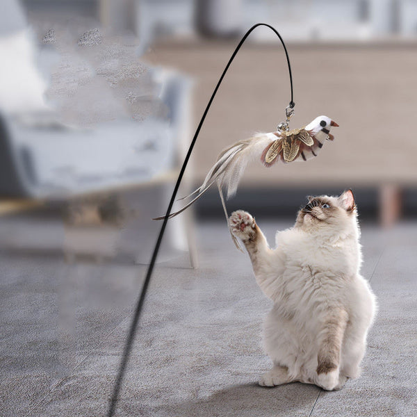 Feather Fun Cat Teaser Toy
