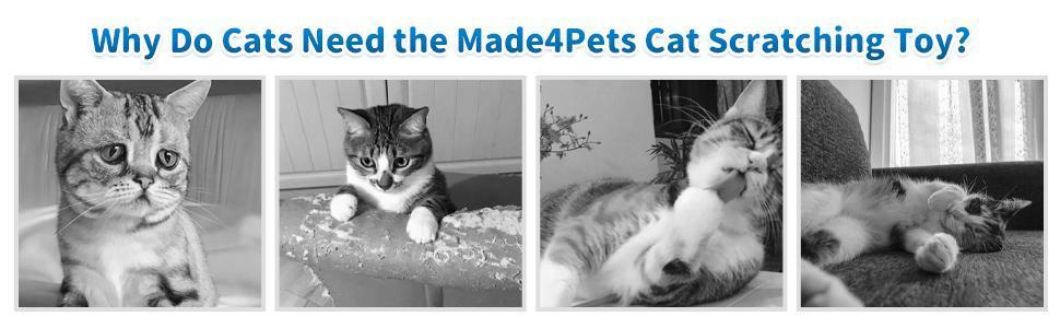 Cozy Cat Play & Scratch Station