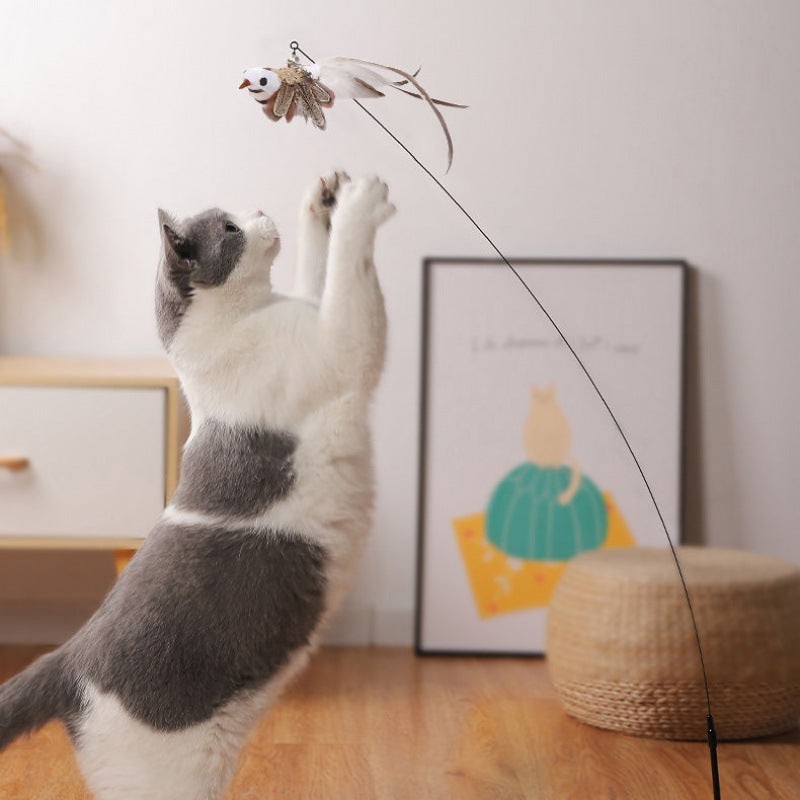 Feather Fun Cat Teaser Toy