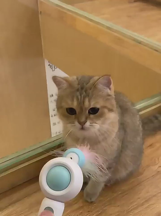 Retractable Cat Play Wand